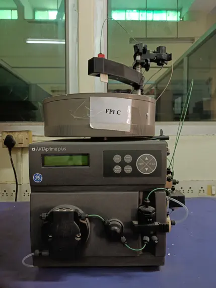 Fast Protein Liquid Chromatography (FPLC)